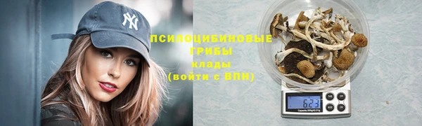 кокс Алзамай