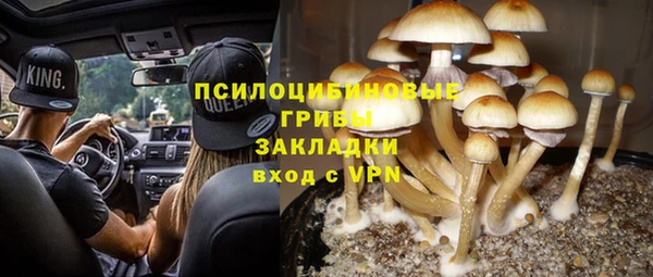 кокс Алзамай