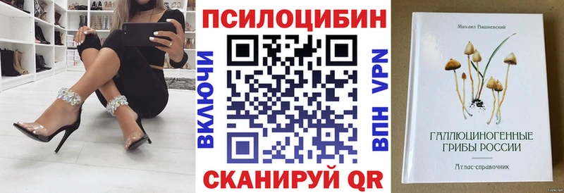Галлюциногенные грибы Psilocybe  где продают наркотики  Опочка 